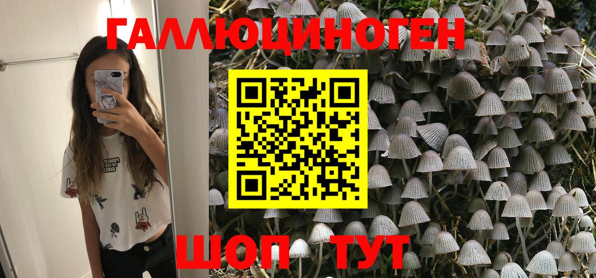 Псилоцибиновые грибы Psilocybine cubensis Туапсе