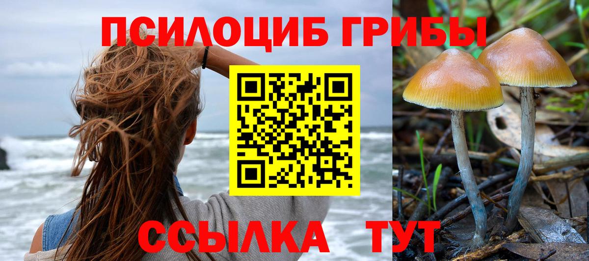 наркота  Вход с VPN  Псилоцибиновые грибы Magic Shrooms  Туапсе  Галлюциногенные грибы Cubensis 